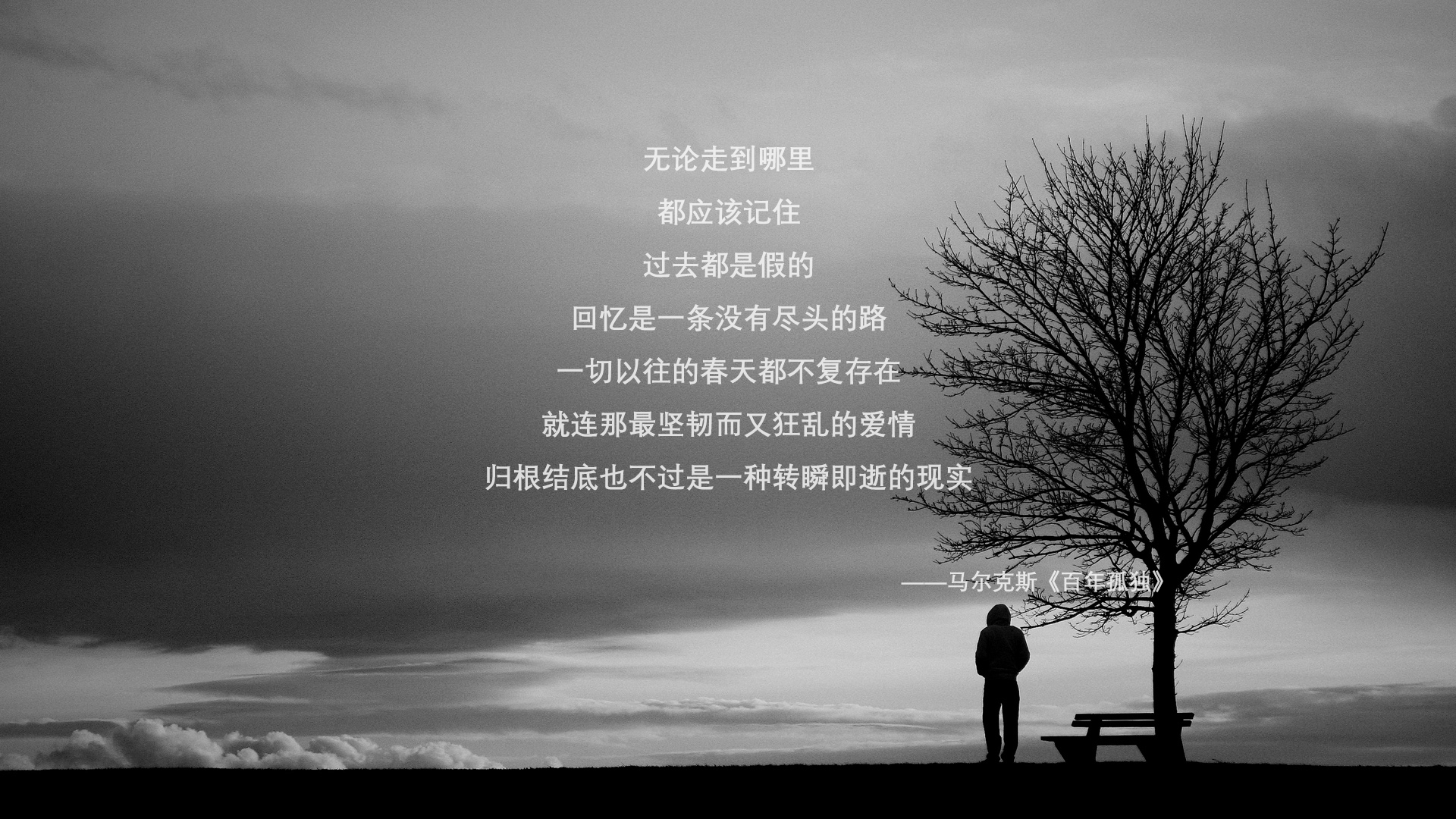 塞内加尔马术协会与学校合作，开展马术教育课程，推广马术文化。