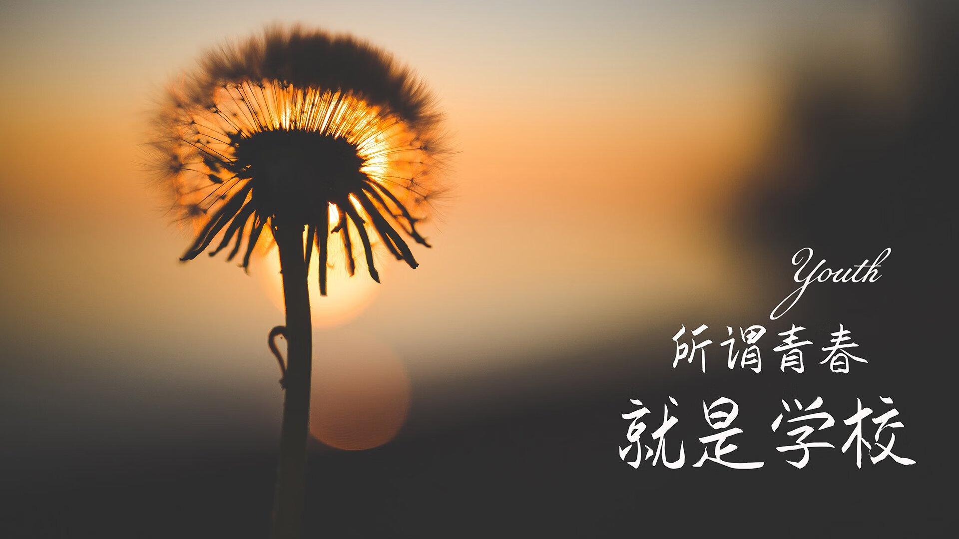 篮球场馆智能管理系统效率显著提升，篮球场智能化运营方案