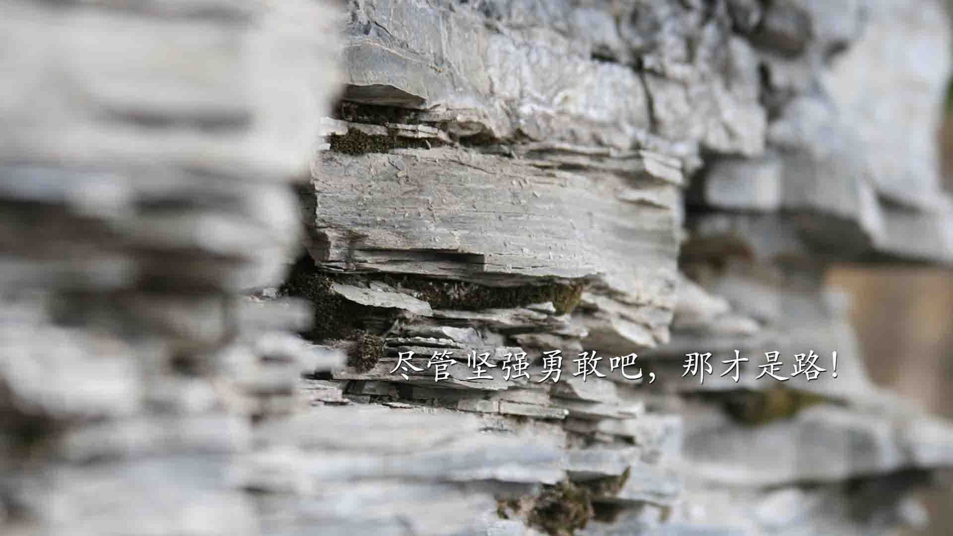 篮球公益活动提升社区篮球氛围，社区举办篮球比赛的意义