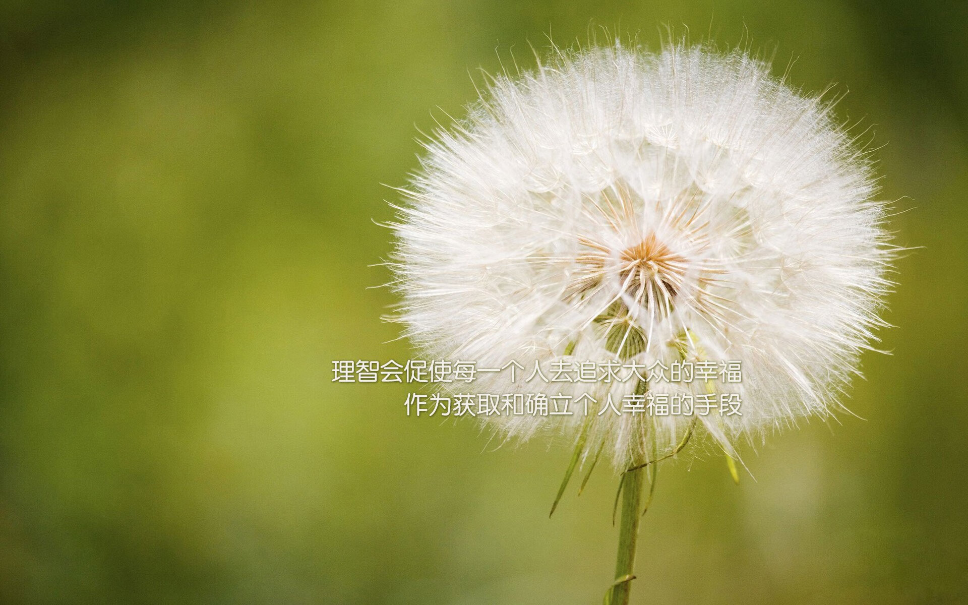 高空秋千运动，俯瞰大地的极限体验，玩高空秋千的人 听上去忧伤