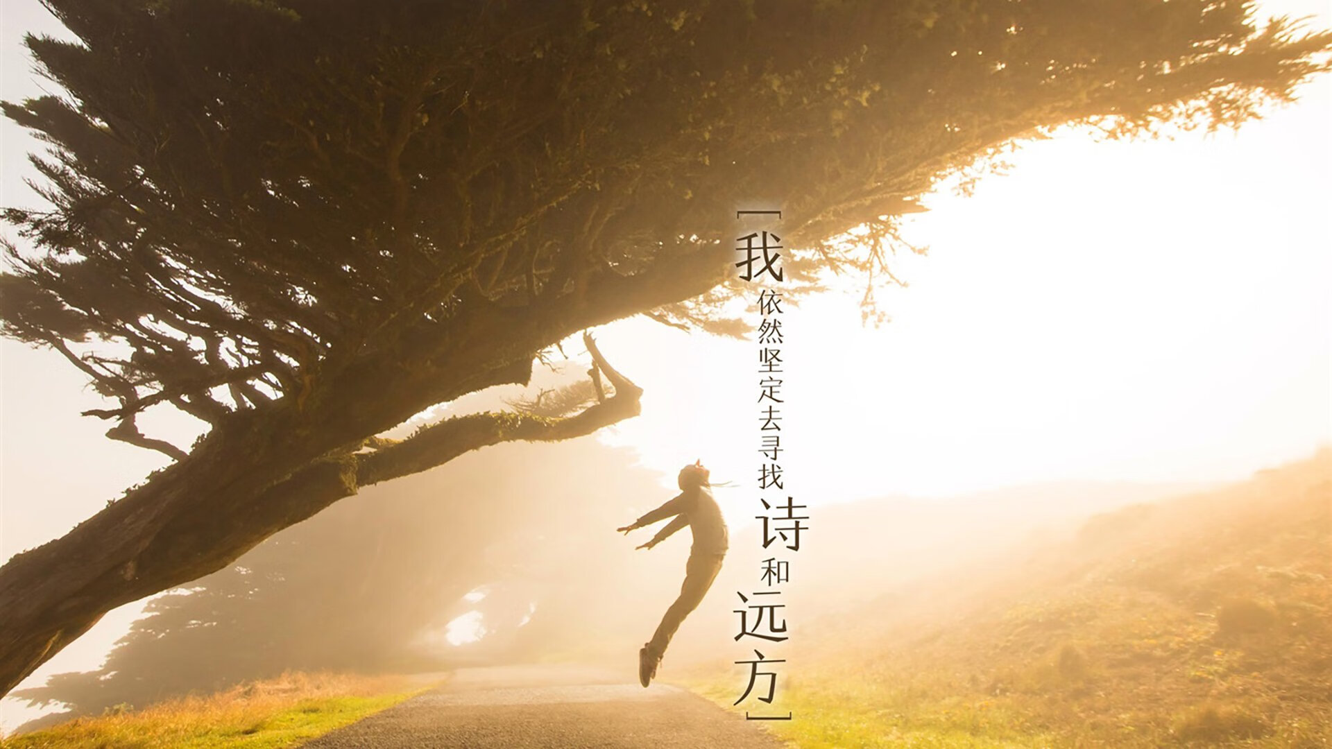 欧洲足球冠军联赛球队阵容大调整，实力有所提升，欧洲足球俱乐部冠军联赛