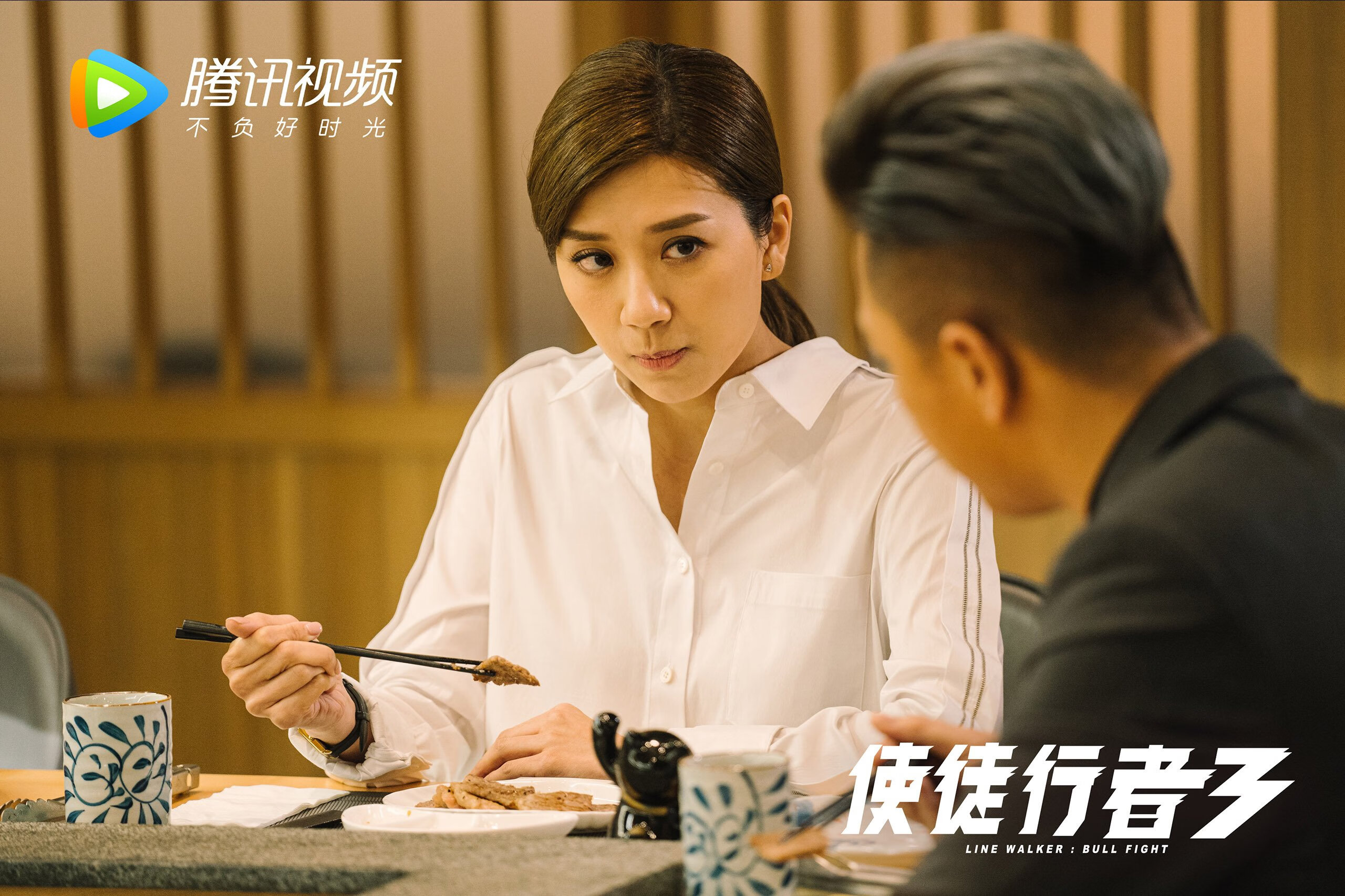 波黑足球队在欧洲比赛中大放异彩，波黑足球队队员名单
