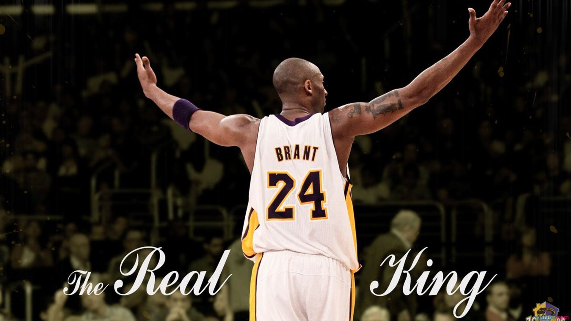 未来冠军！青少年篮球“天才营”在全国多地开班，蓝球天才少年